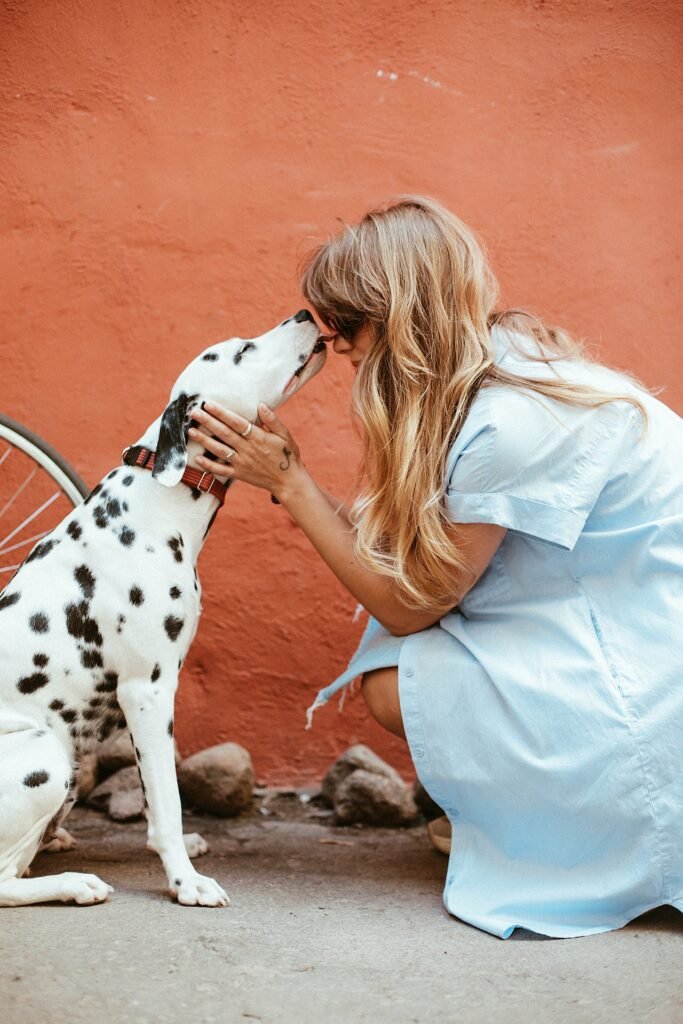 Pets are part of the family