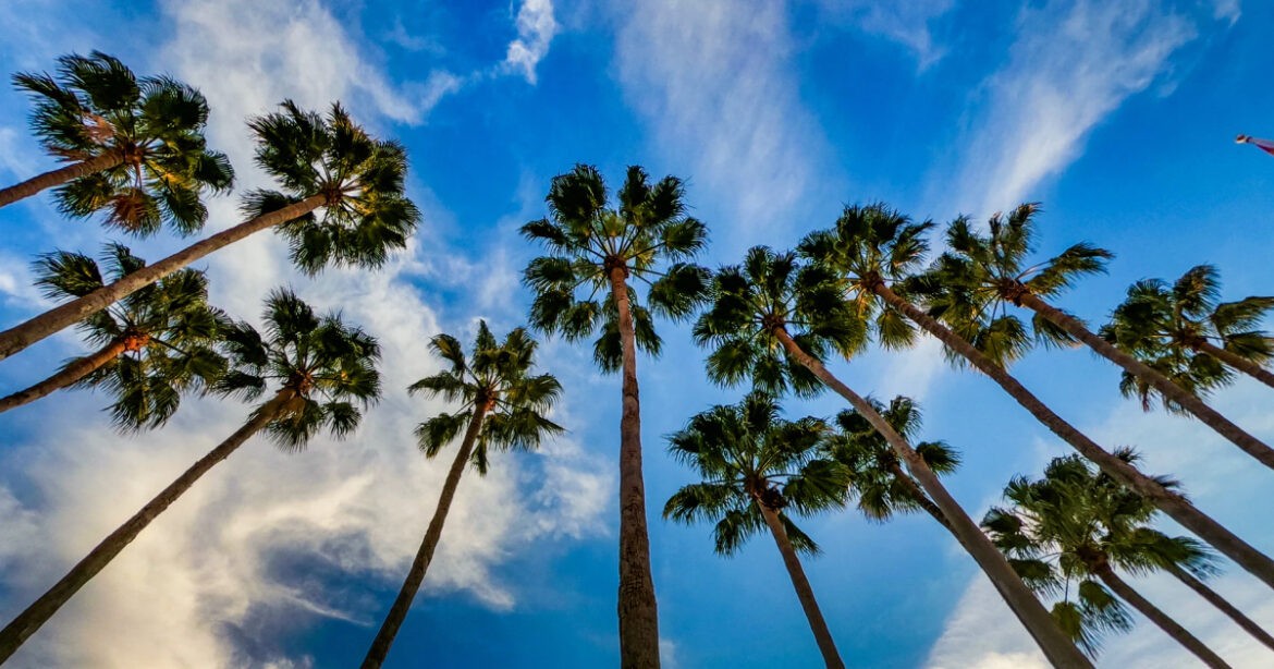 Sarasota, Florida Goes from Strength to Strength in Vacation Rentals Airbnb Insights