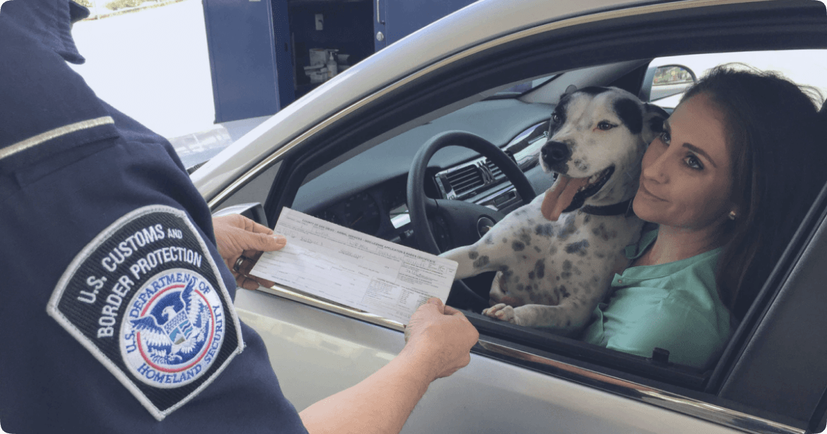 Border Restrictions and Airbnb Bookings What Now