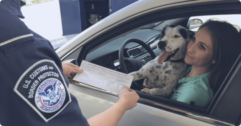 Border Restrictions and Airbnb Bookings What Now