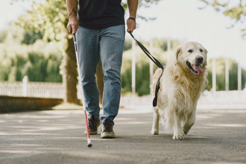 Airbnb service animal policy