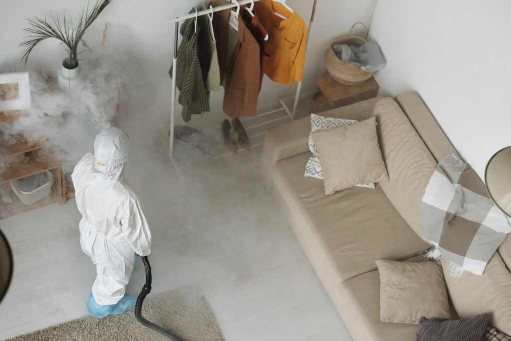 Managing the Problem Airbnb Bed Bugs