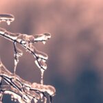 Off Peak Airbnb Tips