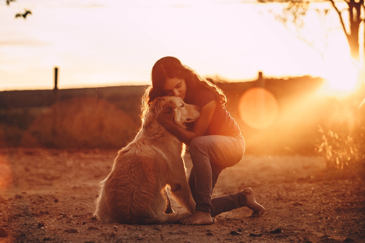 Airbnb Emotional Support Animal 1