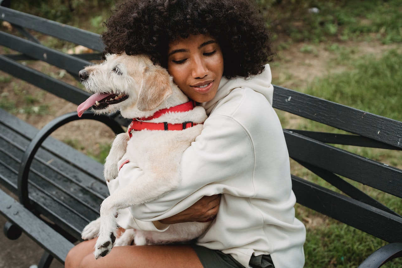 Airbnb emotional sales support animal